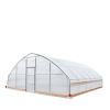 25' x 25' Tunnel Greenhouse Grow Tent w/6 Mil Clear EVA Plastic Film, Cold Frame, Hand Crank Roll-Up Sides, Peak Ceiling Roof, TMG-GH2525