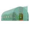 Walk-in Tunnel Greenhouse, 19.4x9.7x7.4 ft Hoop House Greenhouse Tunnel, Plant Hot House with Galvanized Steel Frame, Green PE Cover