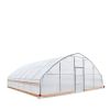 25' x 25' Tunnel Greenhouse Grow Tent w/6 Mil Clear EVA Plastic Film, Cold Frame, Hand Crank Roll-Up Sides, Peak Ceiling Roof, TMG-GH2525