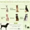 PawHut Pop Up Dog Tent For Extra Large And Large Dogs, Portable Pet Camping Tent With Carrying Bag For Beach, Backyard, Home, Green