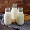Whey Milk Bucket